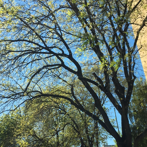 Meet your Posher, Sandy - Picture 1 of 1